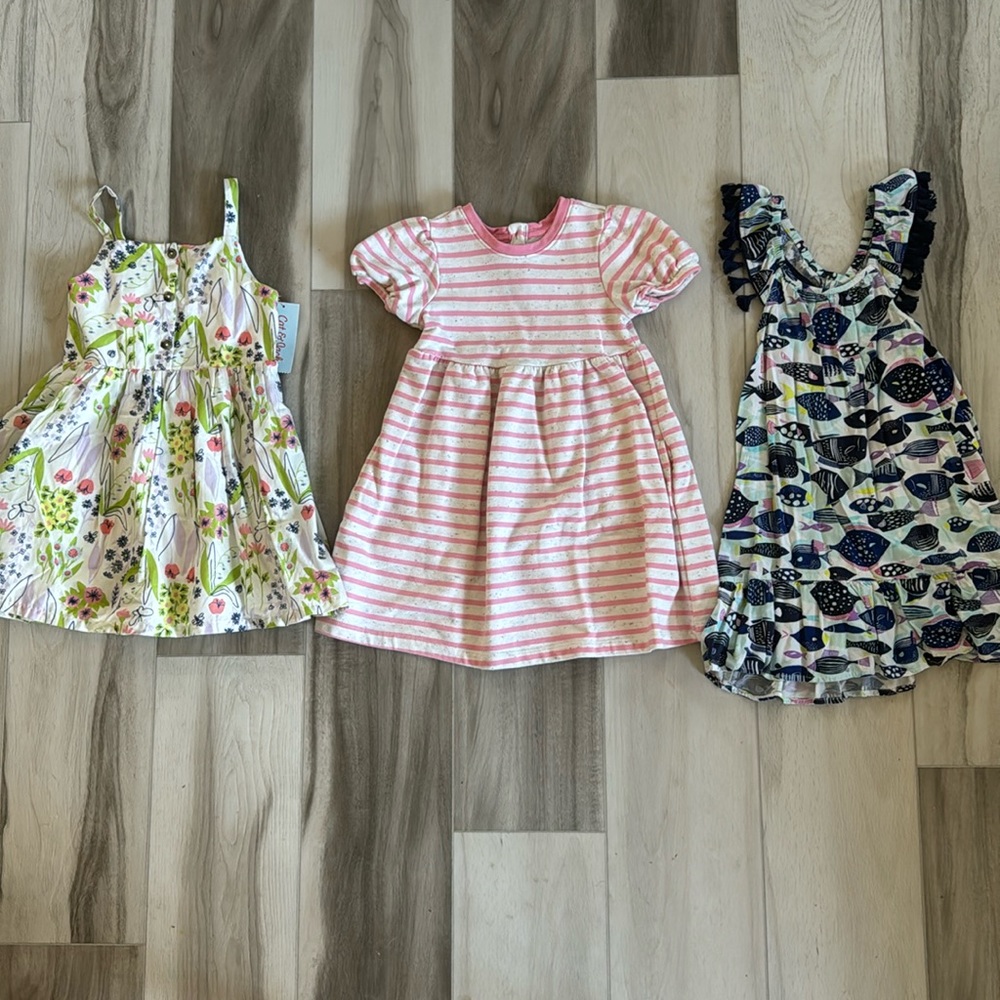 Girls Cat and Jack Dress Lot 5T